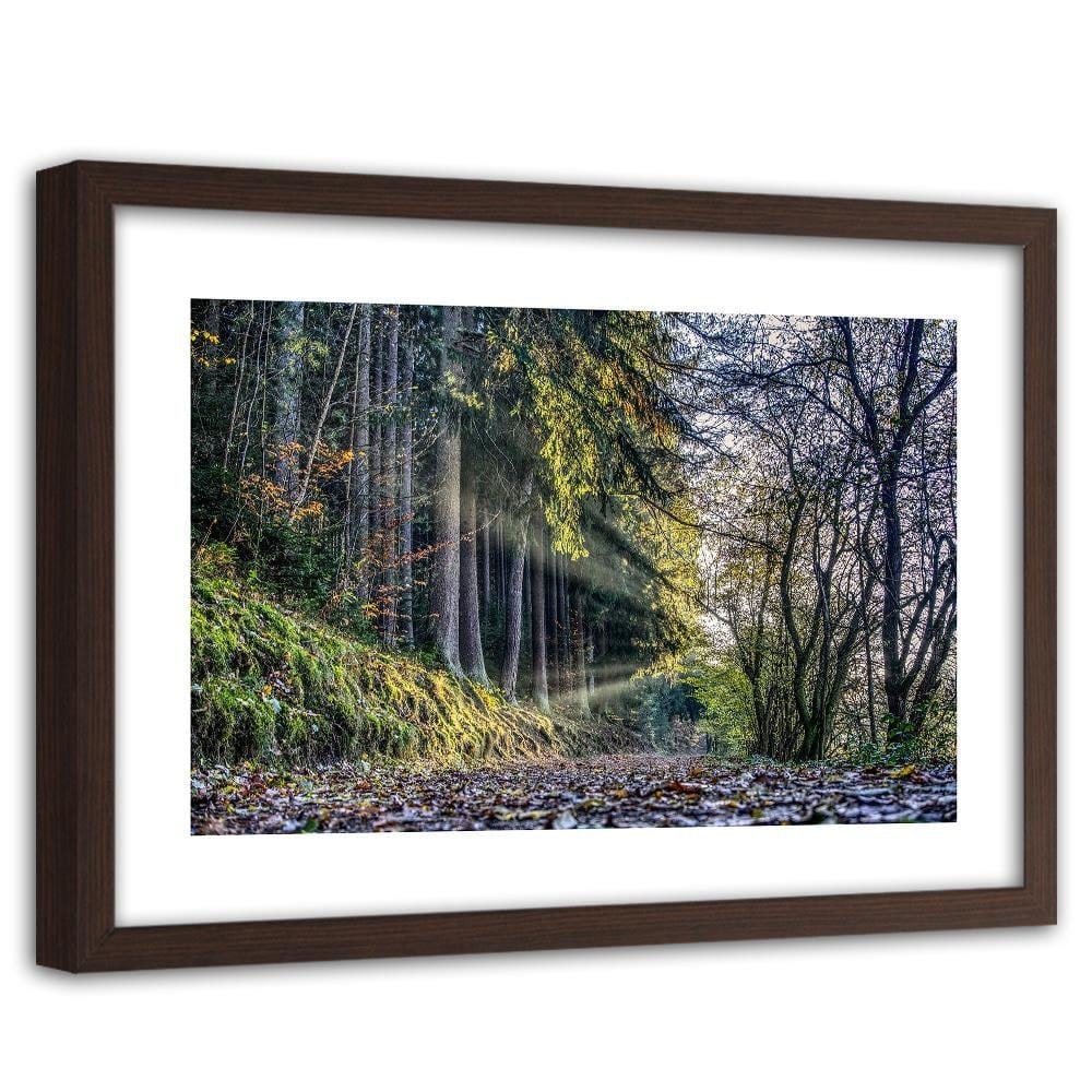 Glezna brūnā rāmī - Autumn Leaves On The Road In The Forest Home Trends DECO