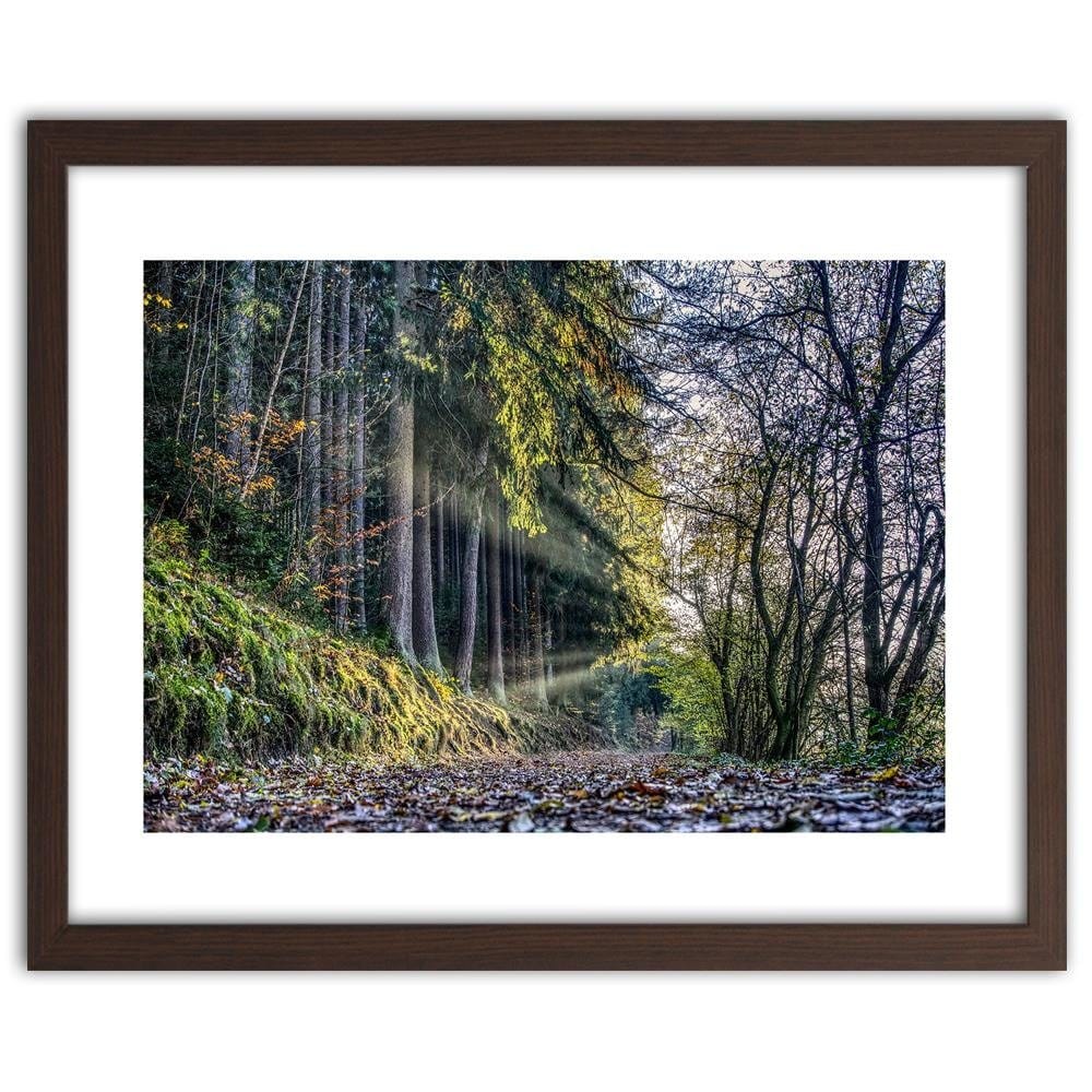 Glezna brūnā rāmī - Autumn Leaves On The Road In The Forest Home Trends DECO