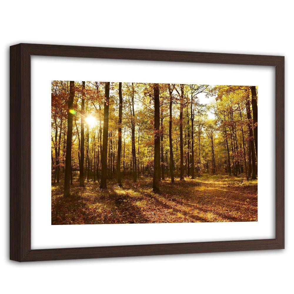 Glezna brūnā rāmī - Autumn Sun Rays In The Forest Home Trends DECO