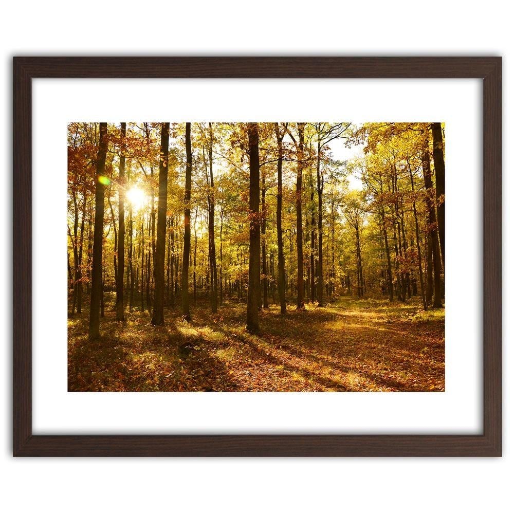 Glezna brūnā rāmī - Autumn Sun Rays In The Forest Home Trends DECO