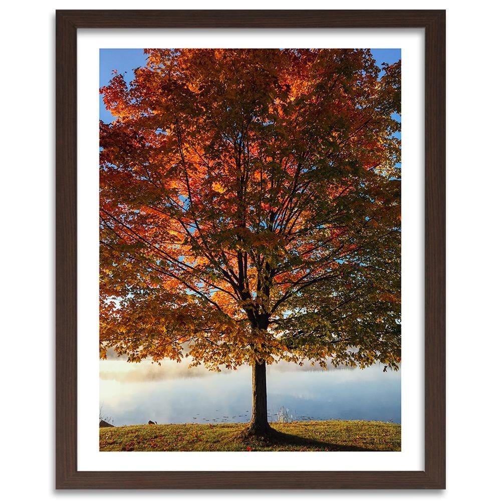 Glezna brūnā rāmī - Autumn Tree Home Trends DECO