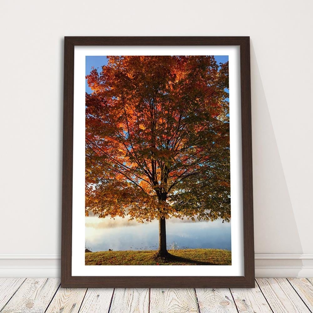 Glezna brūnā rāmī - Autumn Tree Home Trends DECO