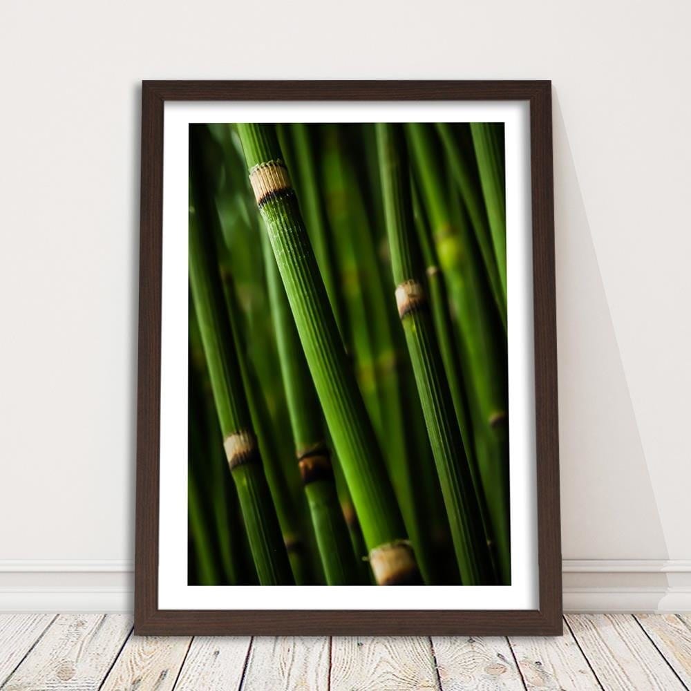 Glezna brūnā rāmī - Bamboo Forest Home Trends DECO