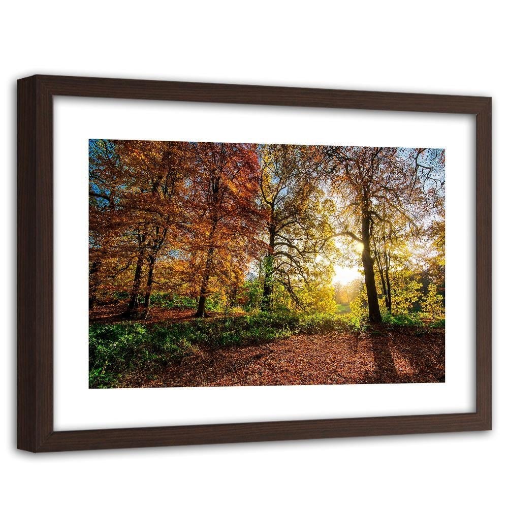 Glezna brūnā rāmī - Beautiful Autumn Forest Home Trends DECO