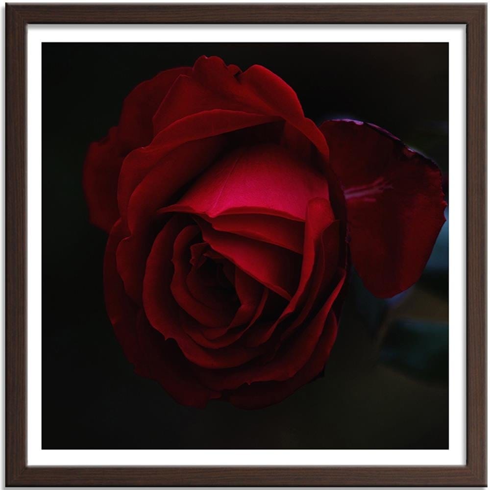 Glezna brūnā rāmī - Beautiful Red Rose Home Trends DECO