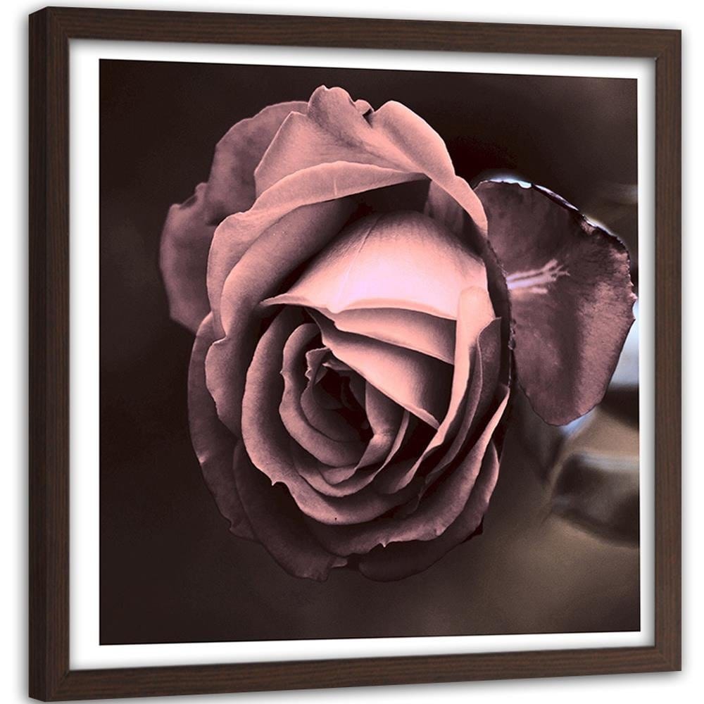 Glezna brūnā rāmī - Beautiful Rose Home Trends DECO