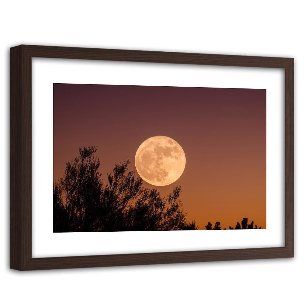 Glezna brūnā rāmī - Big Moon Home Trends DECO