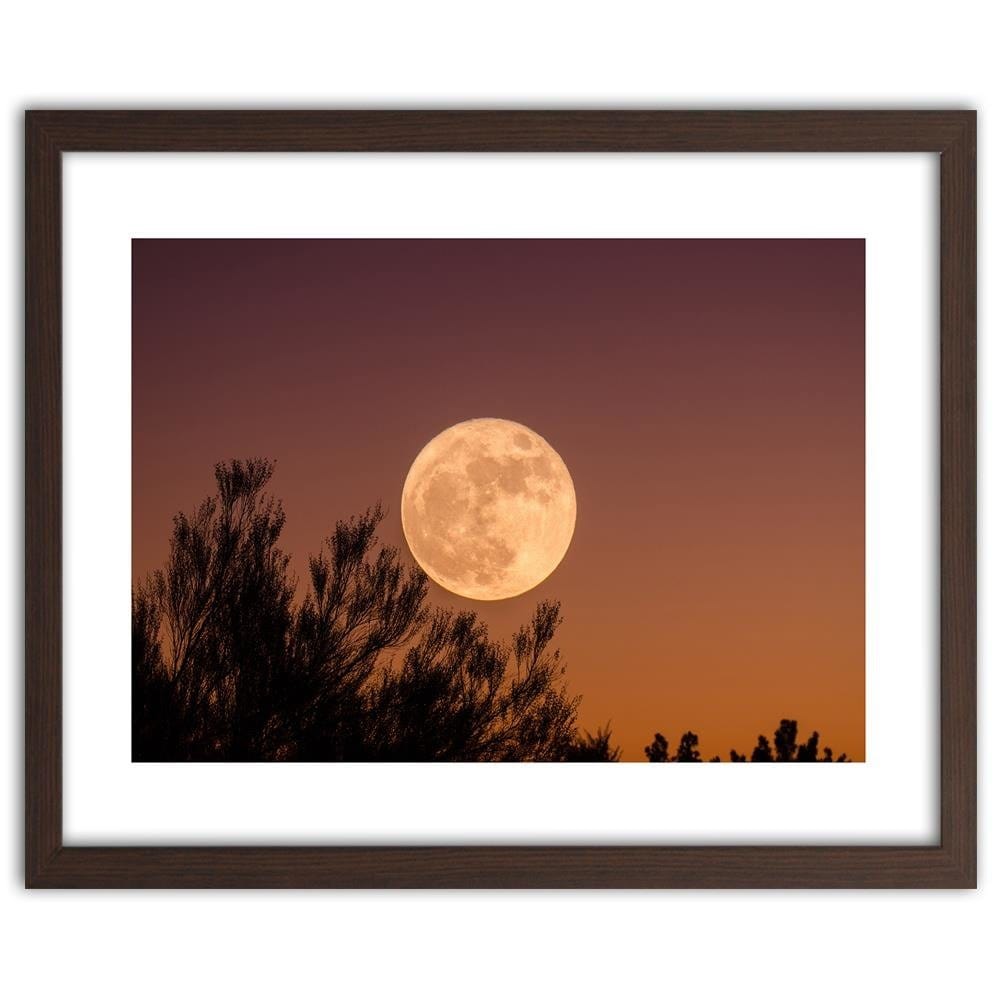 Glezna brūnā rāmī - Big Moon Home Trends DECO