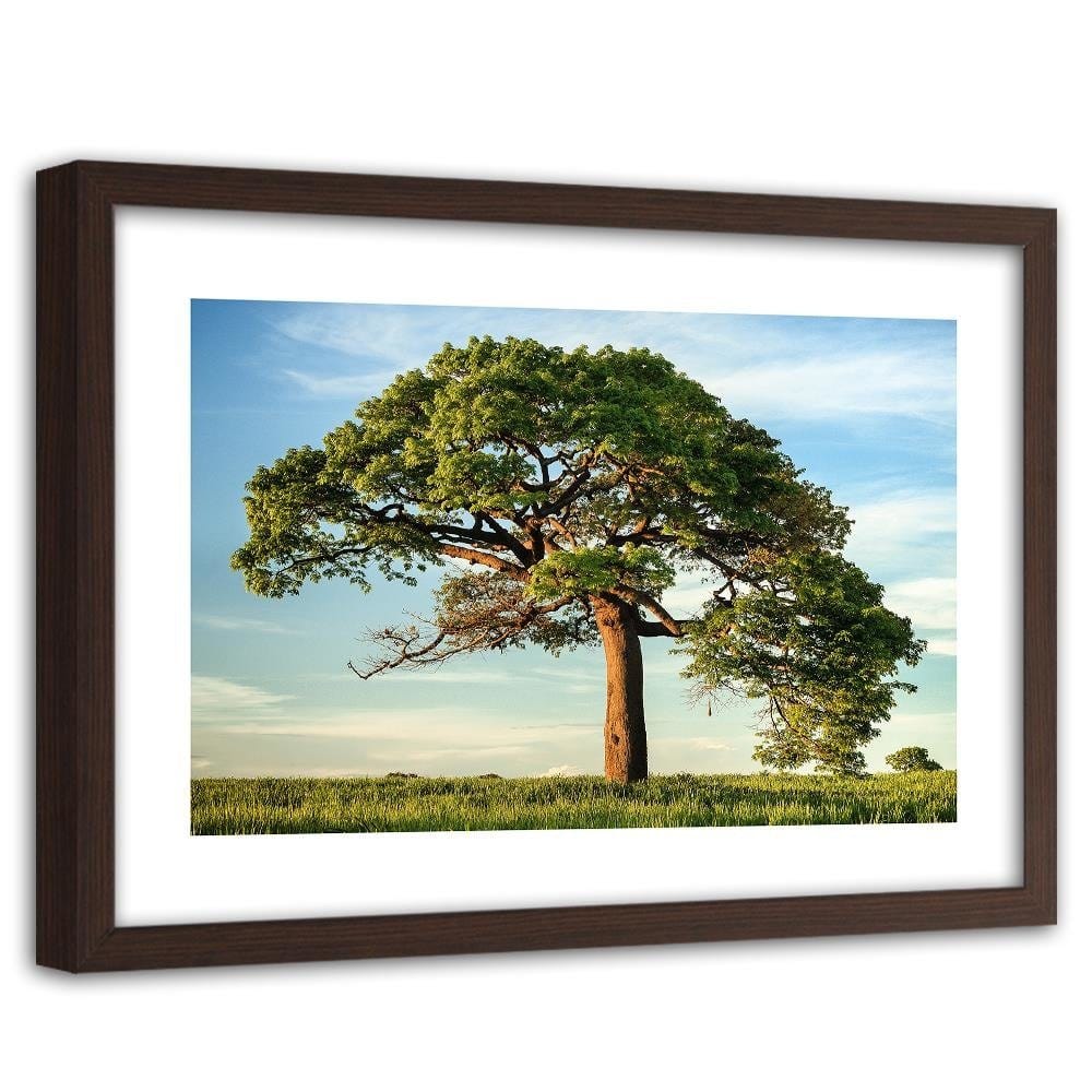 Glezna brūnā rāmī - Big Trees Home Trends DECO