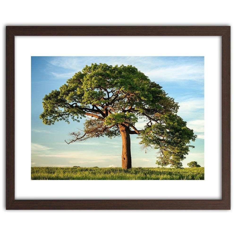 Glezna brūnā rāmī - Big Trees Home Trends DECO