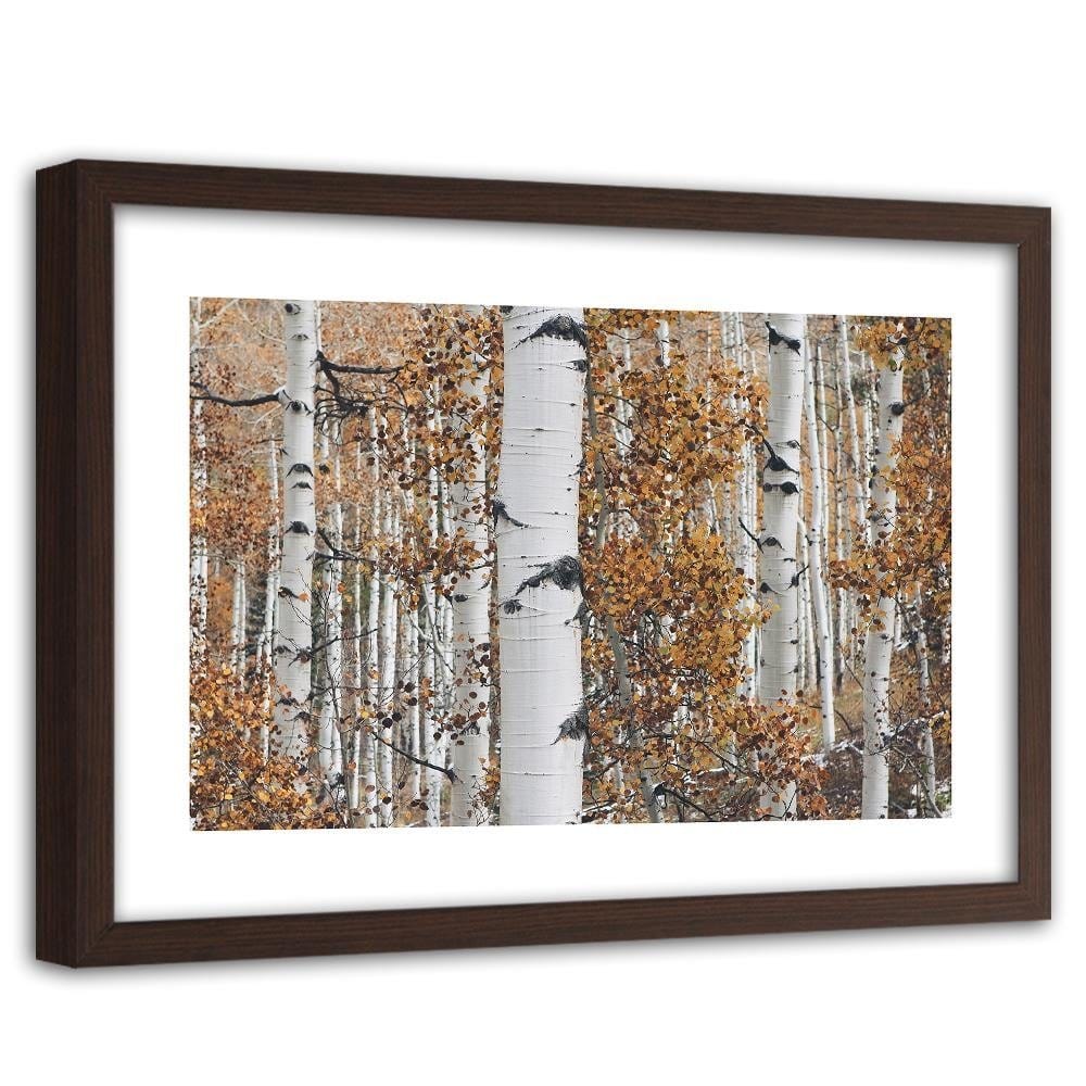 Glezna brūnā rāmī - Birches Home Trends DECO