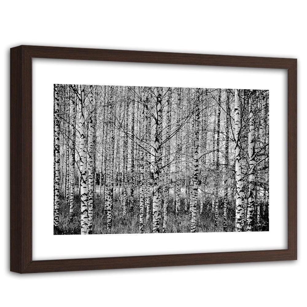 Glezna brūnā rāmī - Black And White Birch Home Trends DECO