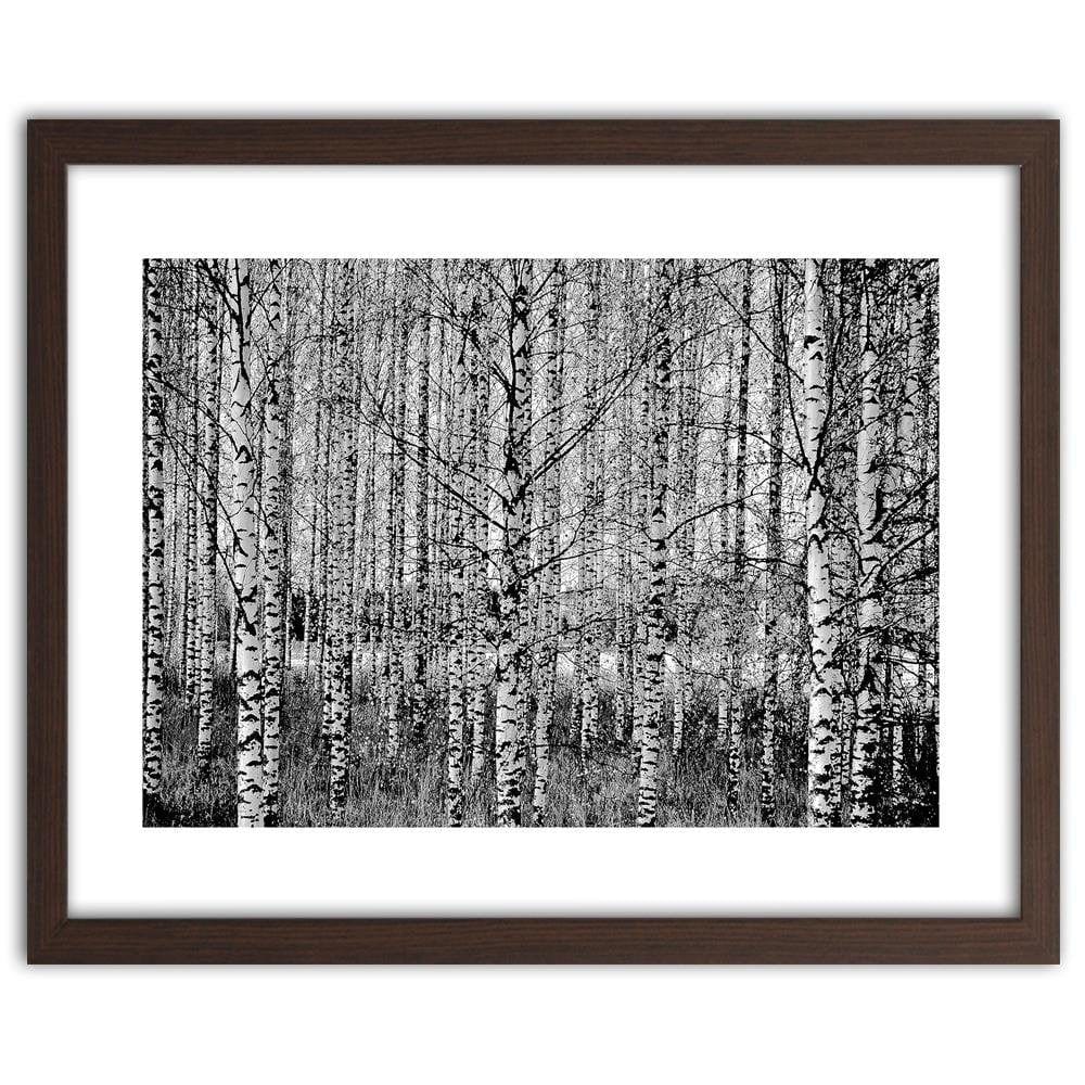 Glezna brūnā rāmī - Black And White Birch Home Trends DECO