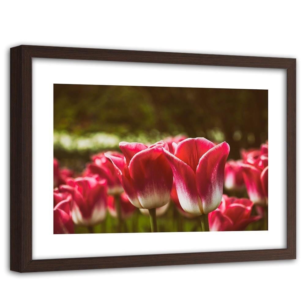 Glezna brūnā rāmī - Blooming Tulip Home Trends DECO