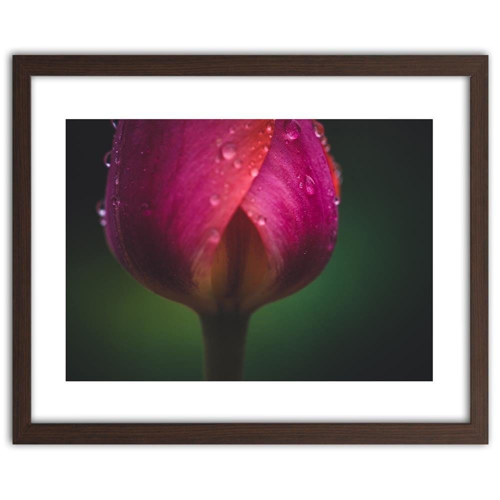 Glezna brūnā rāmī - Bud And Dew Home Trends DECO