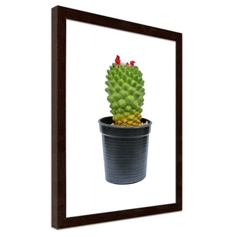 Glezna brūnā rāmī - Cactus on white background Home Trends DECO