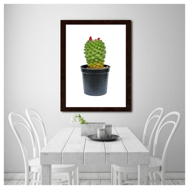 Glezna brūnā rāmī - Cactus on white background Home Trends DECO