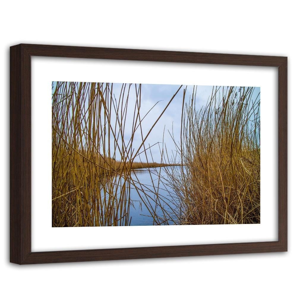 Glezna brūnā rāmī - Cane On The Lake Home Trends DECO