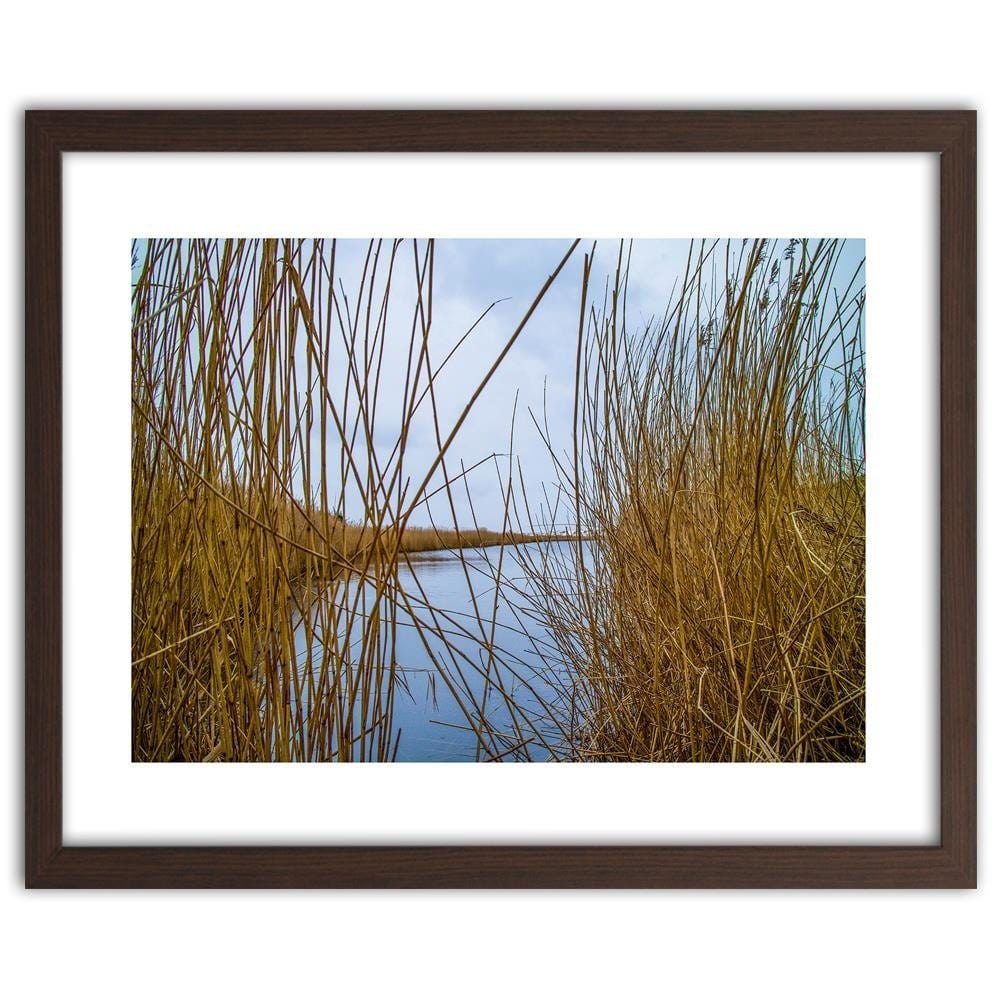 Glezna brūnā rāmī - Cane On The Lake Home Trends DECO