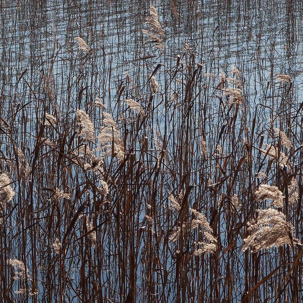 Glezna brūnā rāmī - Cane Sea Home Trends DECO