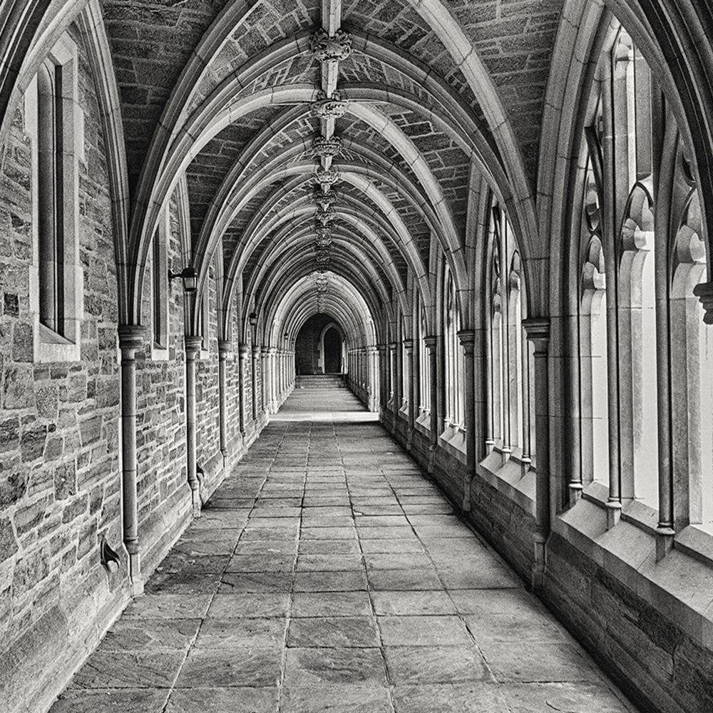 Glezna brūnā rāmī - Cathedral  Home Trends DECO