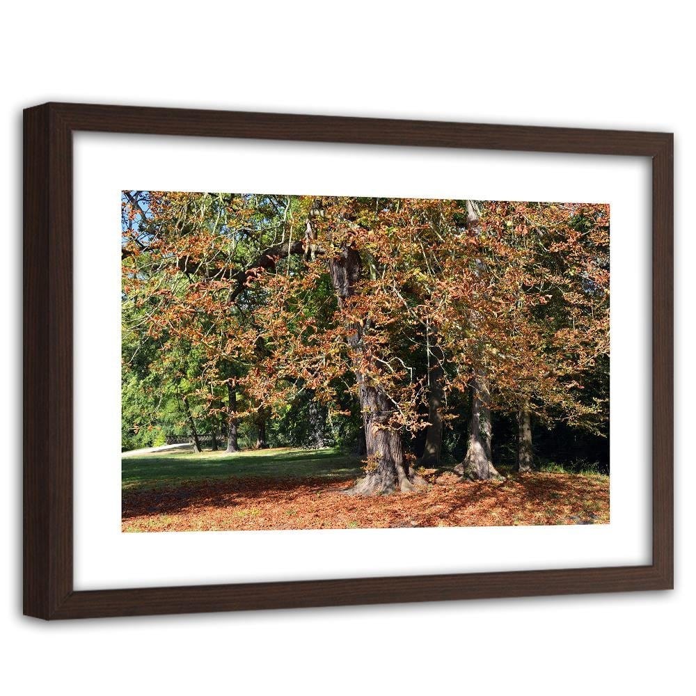 Glezna brūnā rāmī - Chestnut Trees In Autumn Home Trends DECO