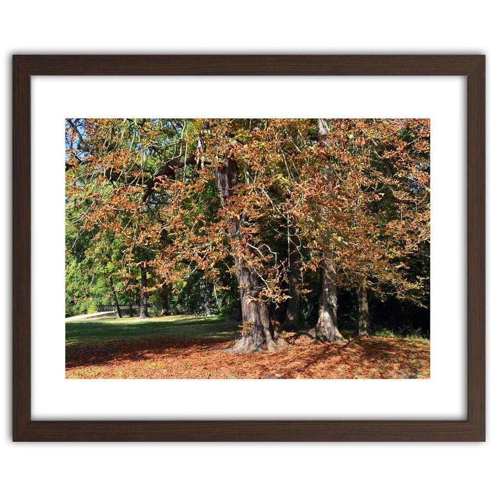 Glezna brūnā rāmī - Chestnut Trees In Autumn Home Trends DECO