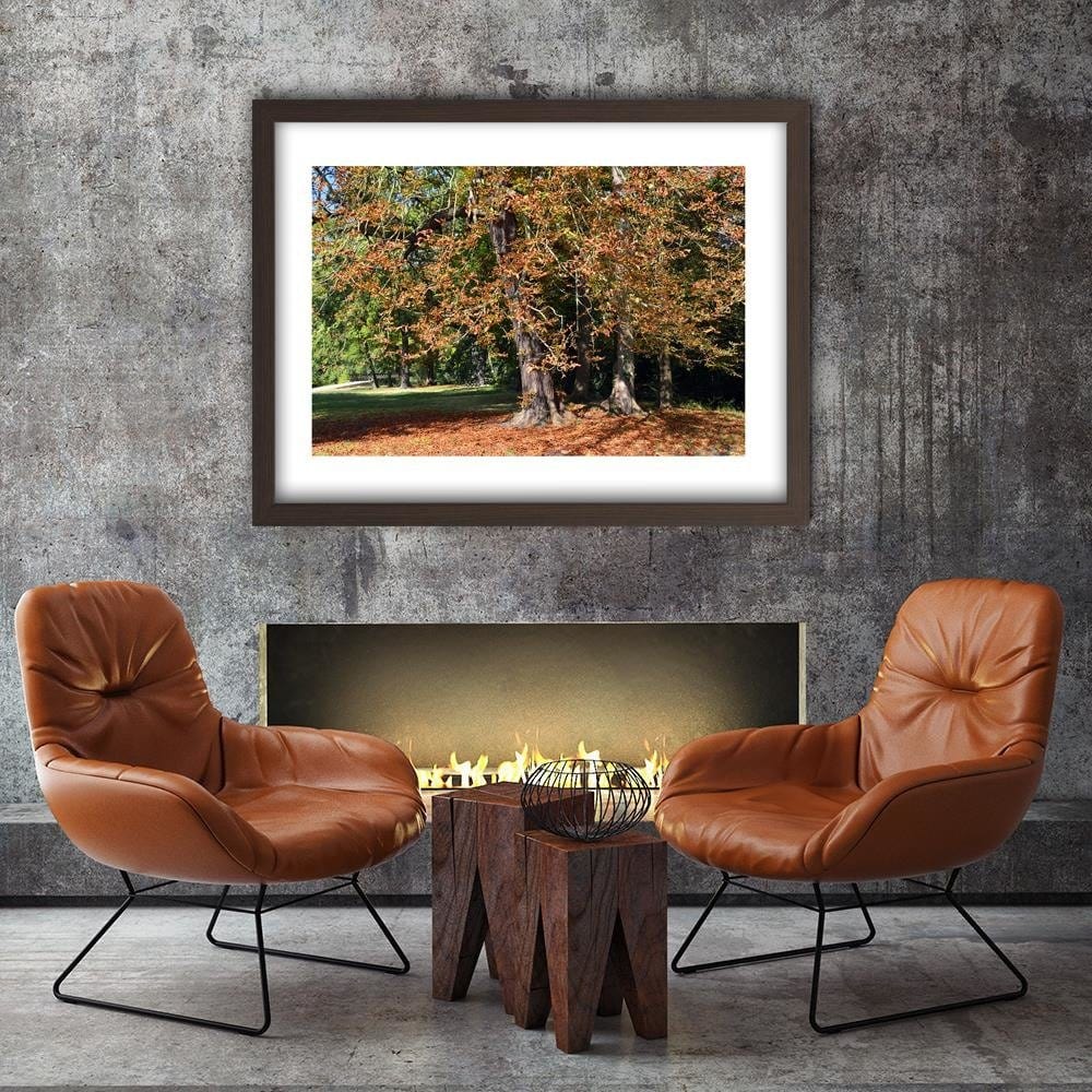 Glezna brūnā rāmī - Chestnut Trees In Autumn Home Trends DECO