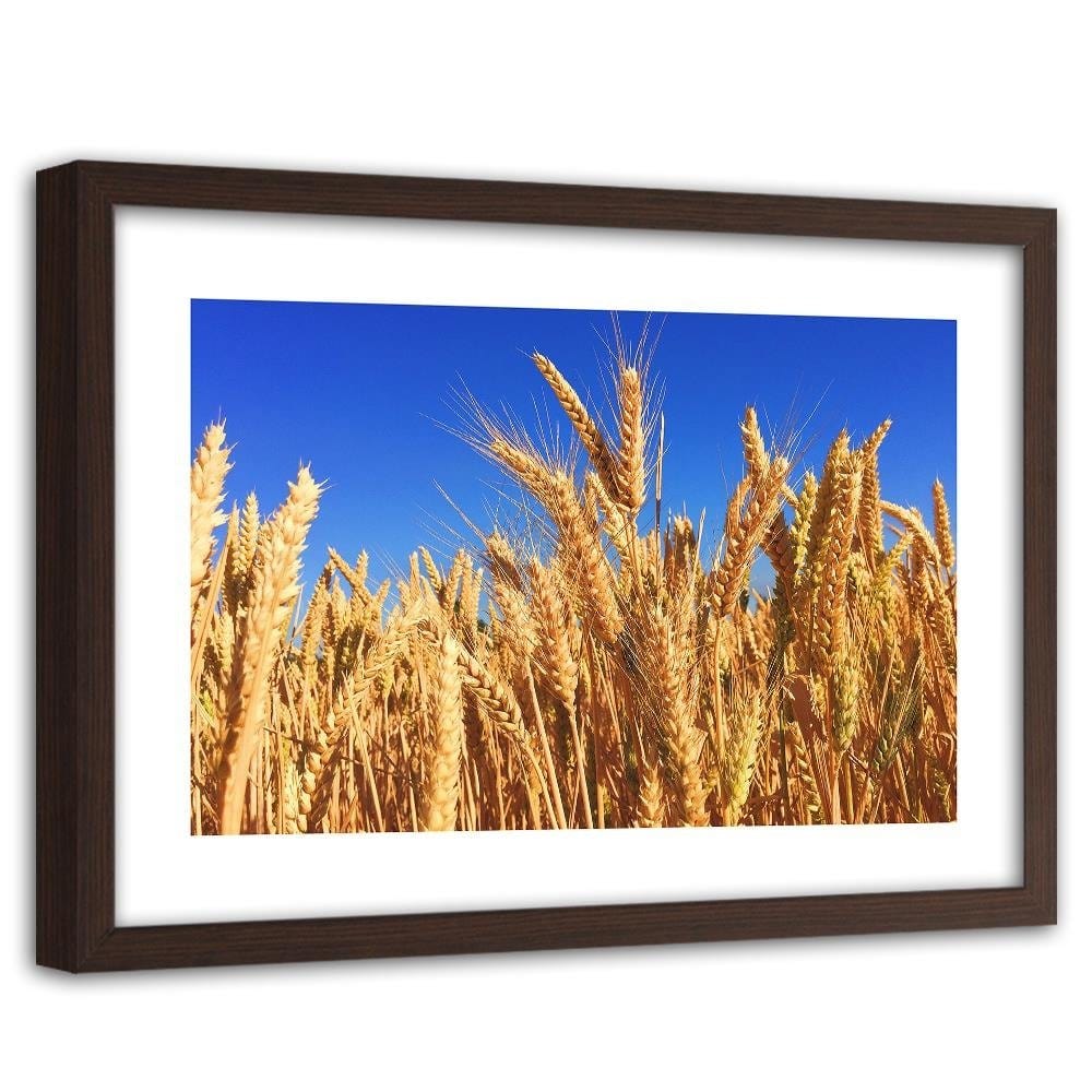 Glezna brūnā rāmī - Cloudless Sky And Grain Home Trends DECO