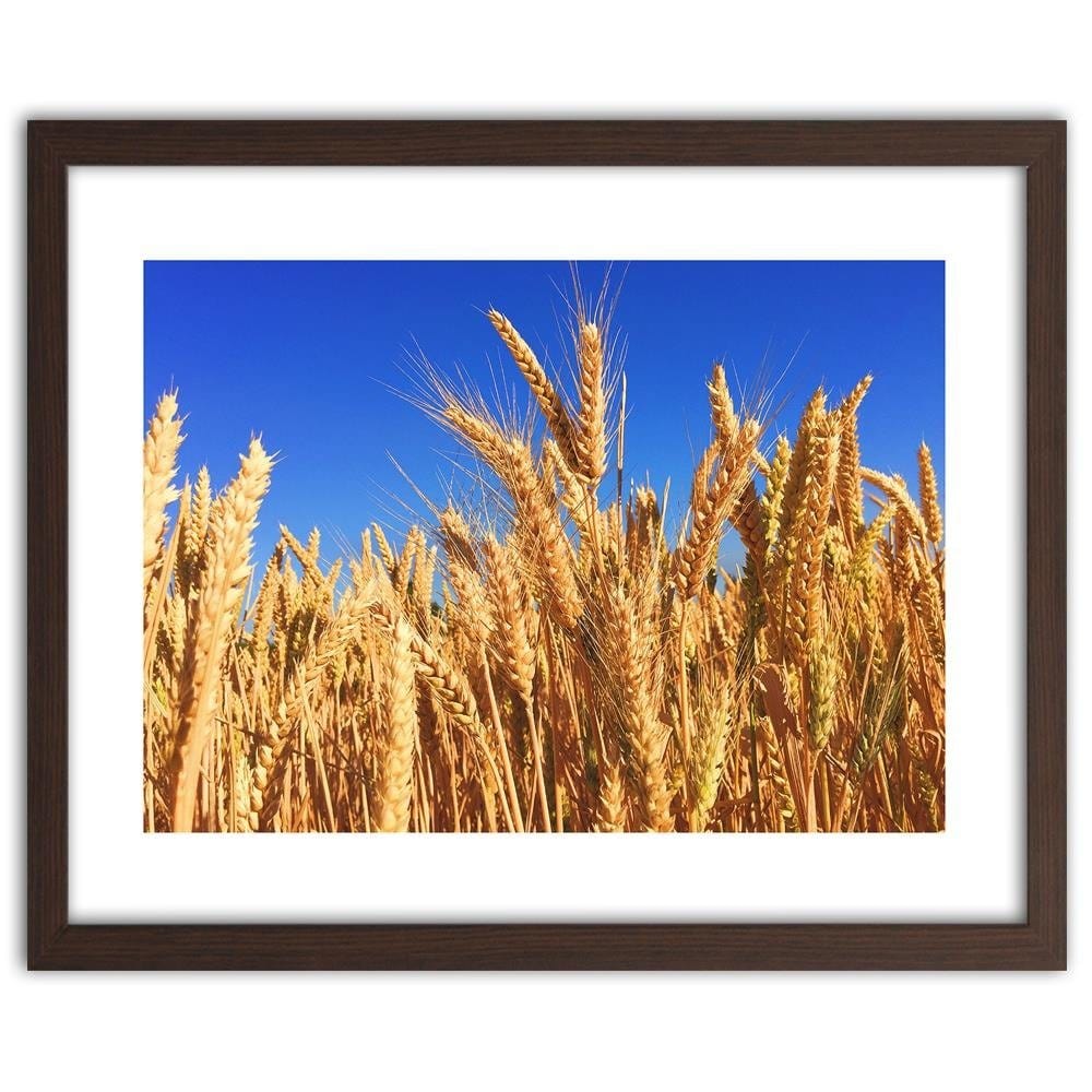Glezna brūnā rāmī - Cloudless Sky And Grain Home Trends DECO