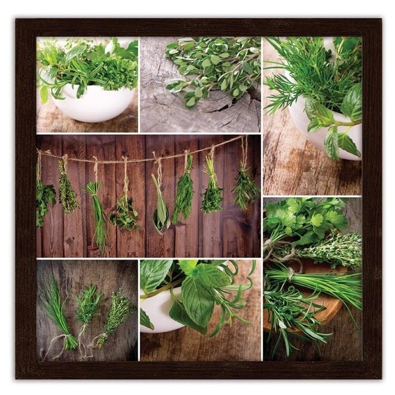 Glezna brūnā rāmī - Collected herbs Home Trends DECO