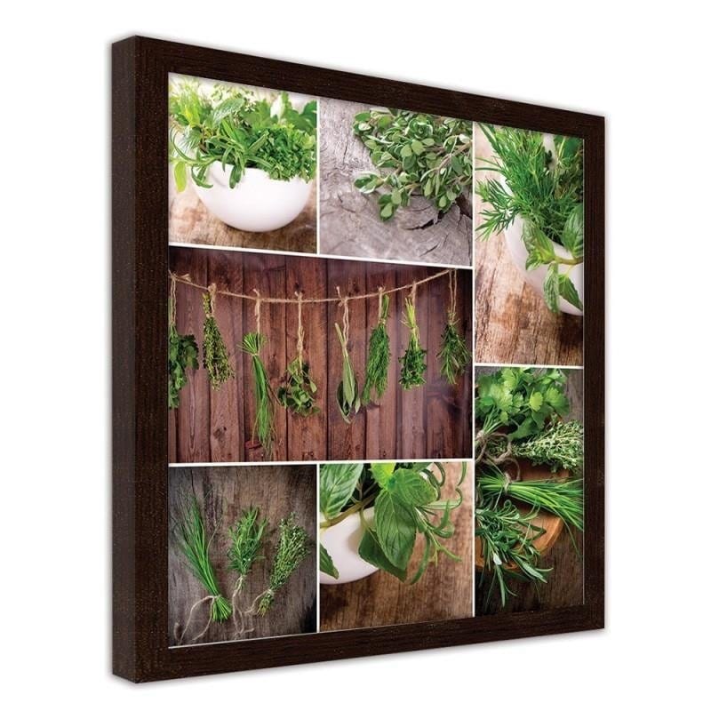 Glezna brūnā rāmī - Collected herbs Home Trends DECO