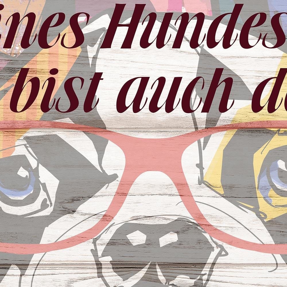 Glezna brūnā rāmī - Colored Dog With Glasses Home Trends DECO