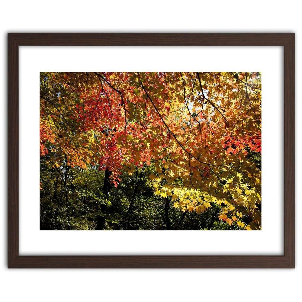 Glezna brūnā rāmī - Colorful Leaves Home Trends DECO