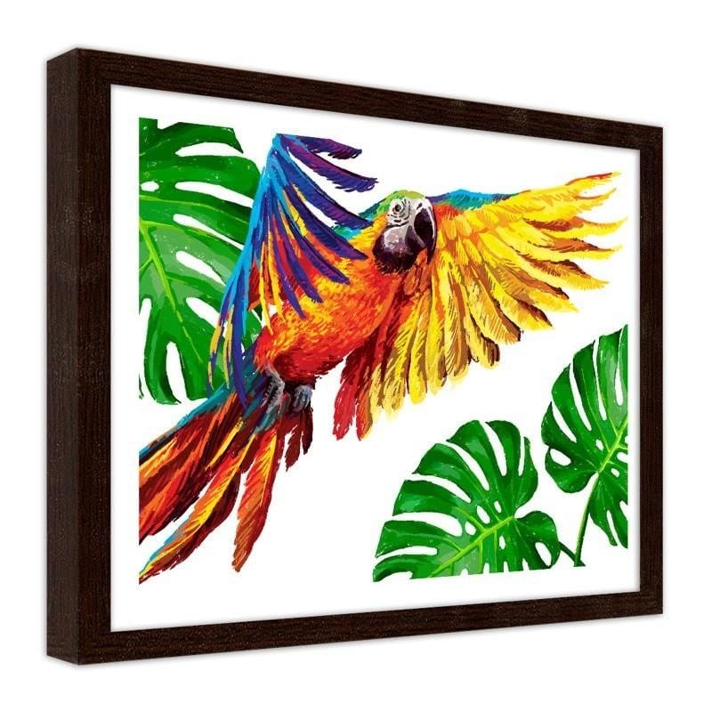Glezna brūnā rāmī - Colorful parrots Home Trends DECO