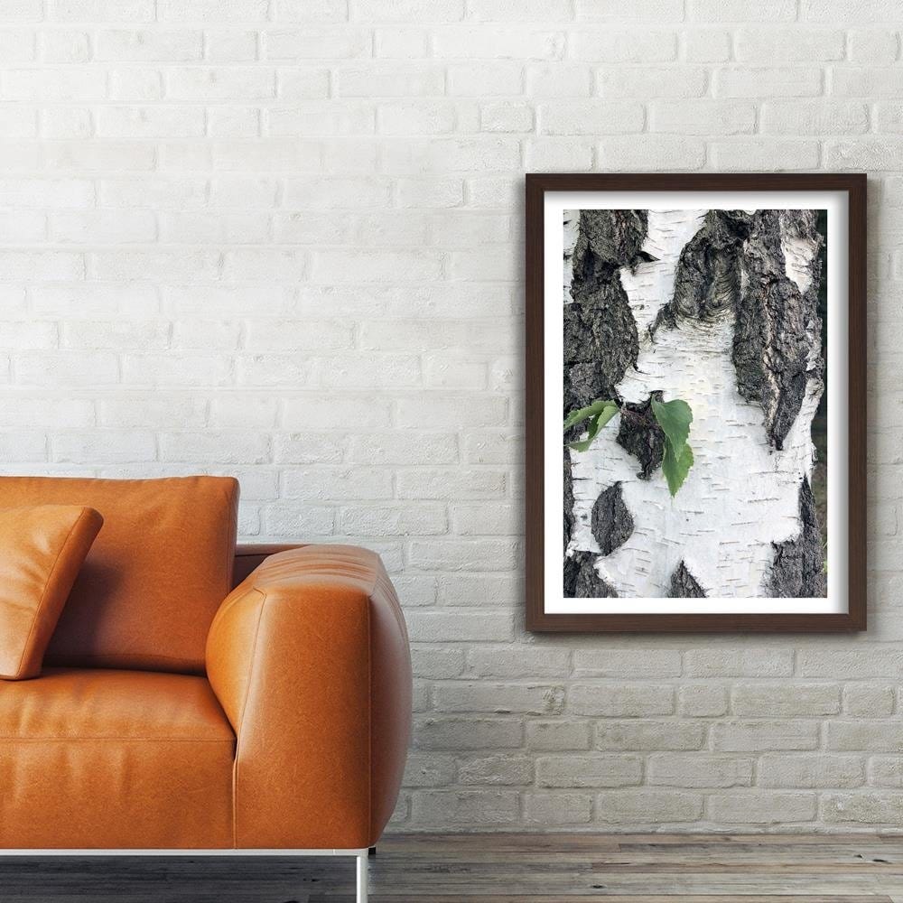 Glezna brūnā rāmī - Colors Birch Home Trends DECO