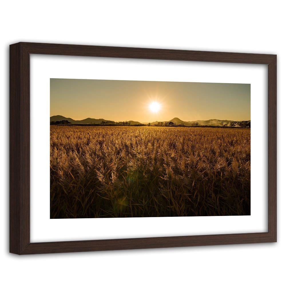 Glezna brūnā rāmī - Corn Field Home Trends DECO