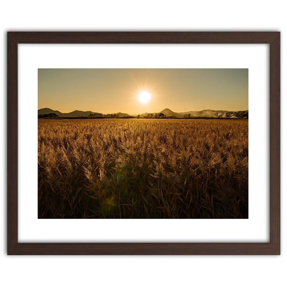 Glezna brūnā rāmī - Corn Field Home Trends DECO