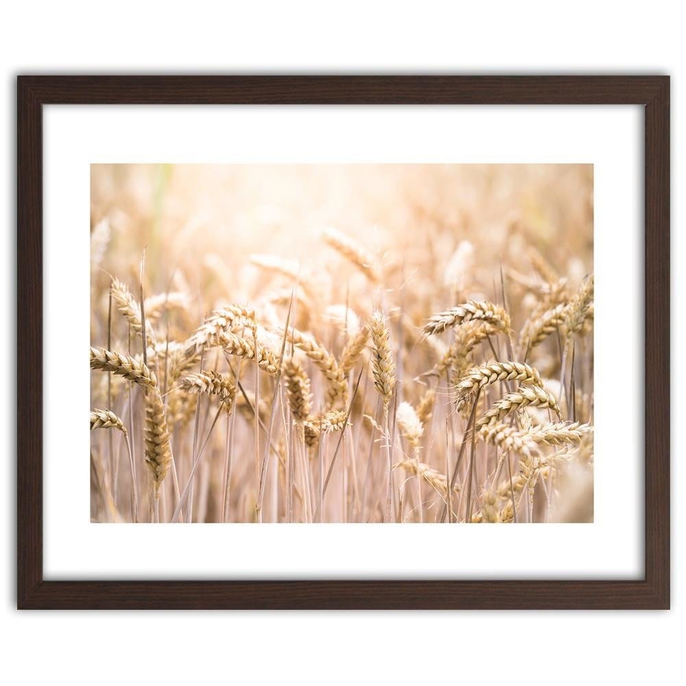 Glezna brūnā rāmī - Corn In The Sun 2 Home Trends DECO