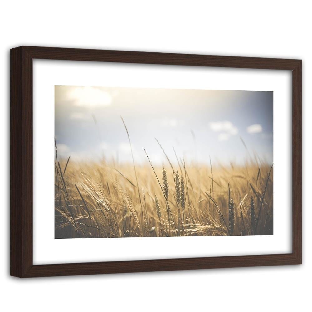Glezna brūnā rāmī - Corn In The Sun 3 Home Trends DECO