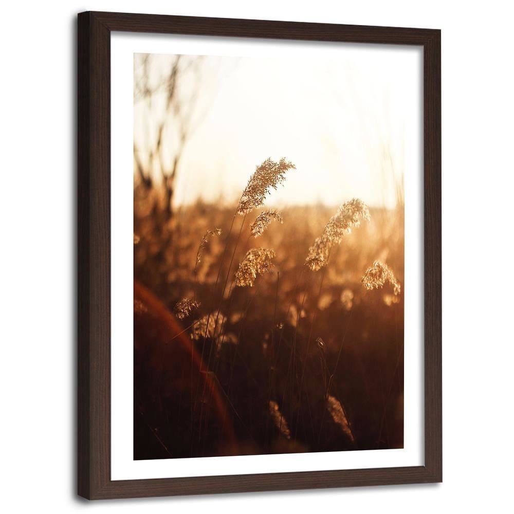 Glezna brūnā rāmī - Corn In The Sun Home Trends DECO