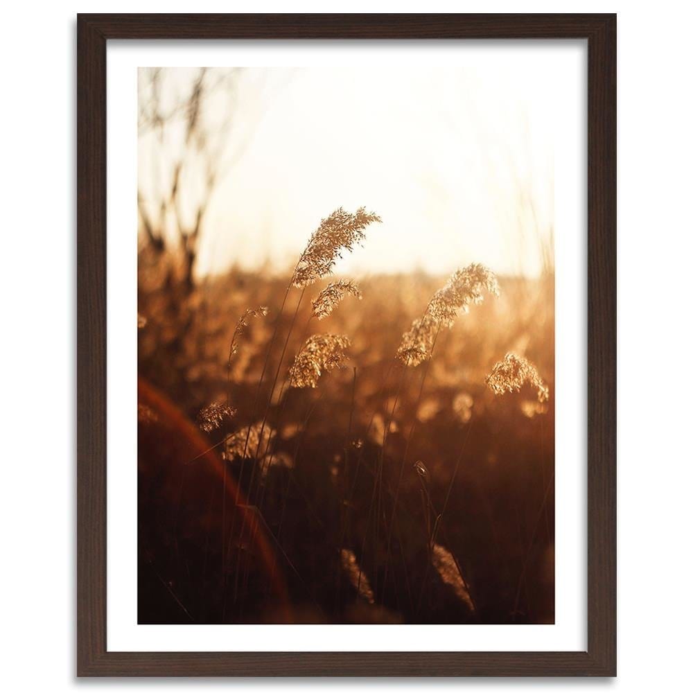 Glezna brūnā rāmī - Corn In The Sun Home Trends DECO