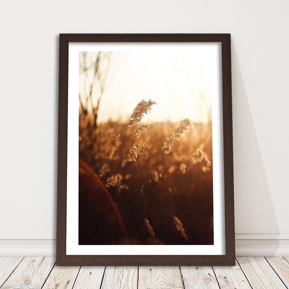 Glezna brūnā rāmī - Corn In The Sun Home Trends DECO