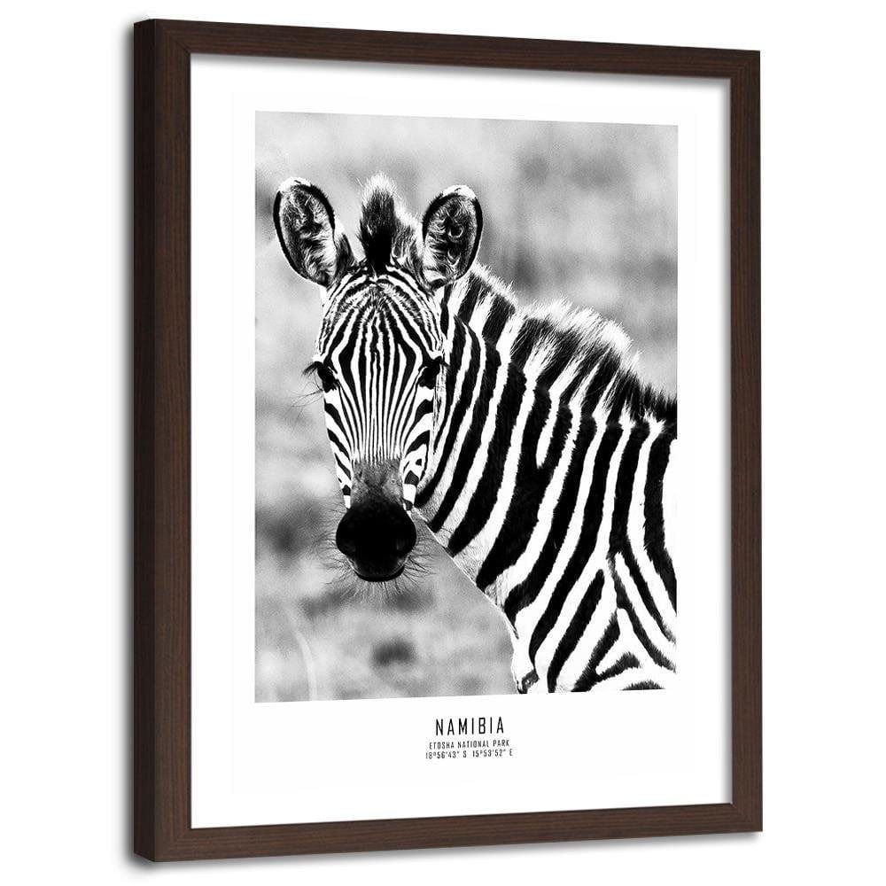 Glezna brūnā rāmī - Curious Zebra Home Trends DECO