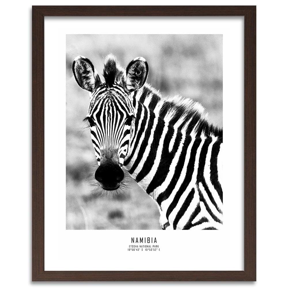 Glezna brūnā rāmī - Curious Zebra Home Trends DECO
