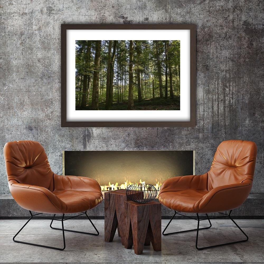 Glezna brūnā rāmī - Dark Forest On A Sunny Day Home Trends DECO