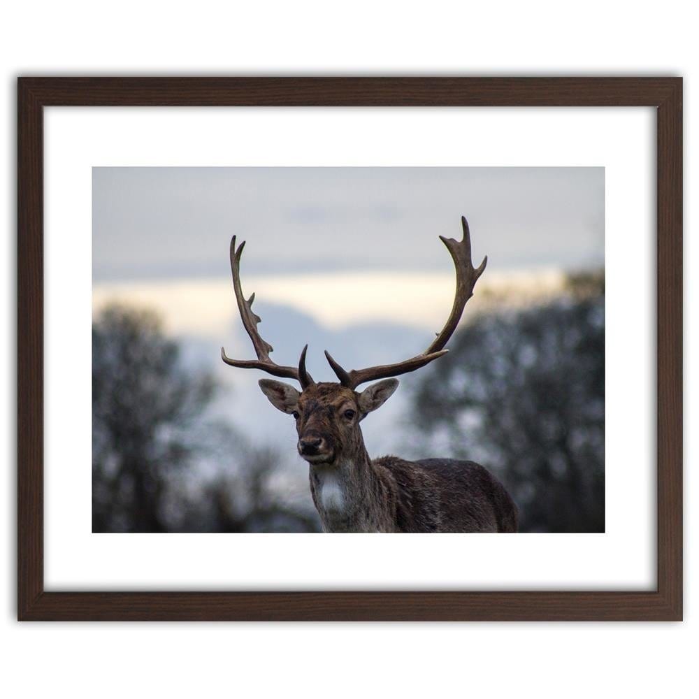 Glezna brūnā rāmī - Deer Home Trends DECO
