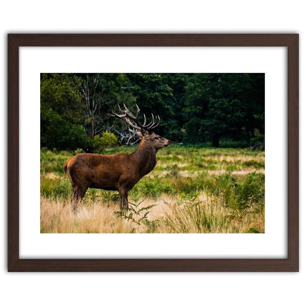 Glezna brūnā rāmī - Deer In Rut Home Trends DECO
