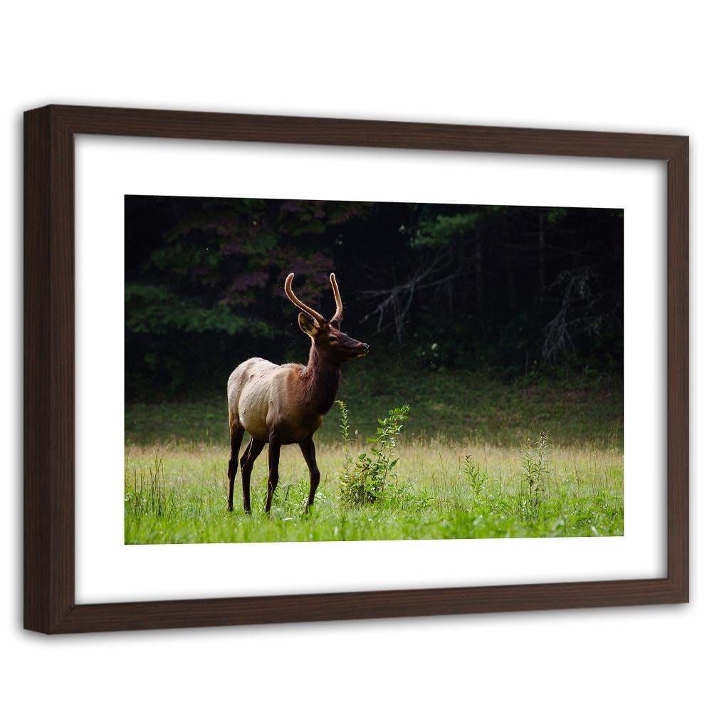 Glezna brūnā rāmī - Deer In The Meadow Home Trends DECO