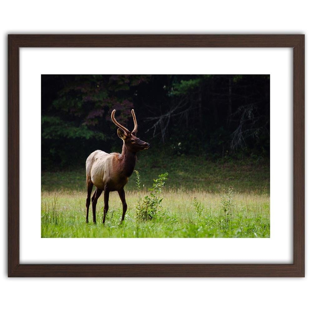 Glezna brūnā rāmī - Deer In The Meadow Home Trends DECO